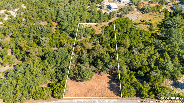 Image 17 of 23 For 817 Rutherford