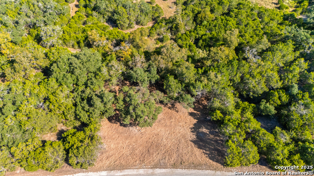 Image 19 of 23 For 817 Rutherford