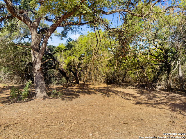 Image 2 of 23 For 817 Rutherford