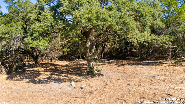 Image 22 of 23 For 817 Rutherford