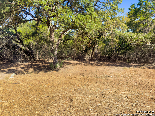 Image 3 of 23 For 817 Rutherford