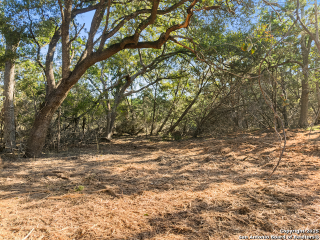 Image 4 of 23 For 817 Rutherford