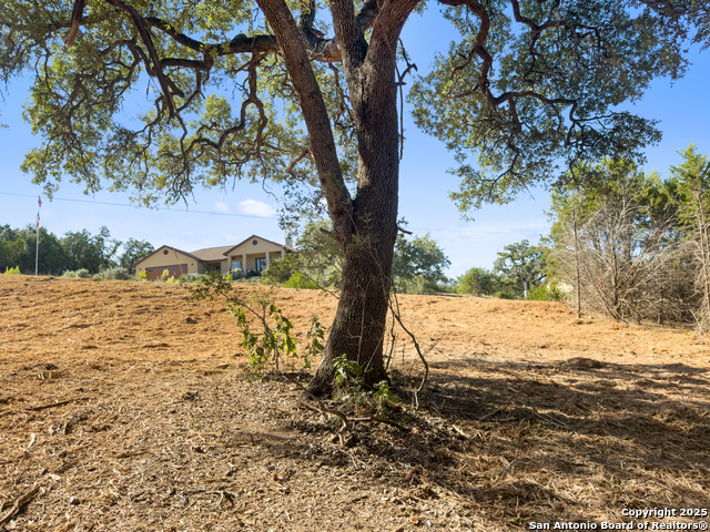 Image 6 of 23 For 817 Rutherford