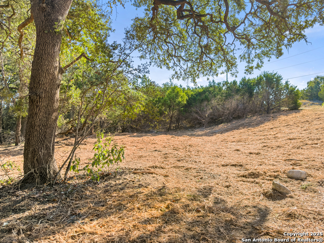 Image 8 of 23 For 817 Rutherford