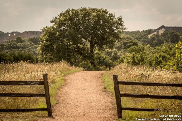 Image 11 of 11 For 1614 (lot 1457) Beaujolais