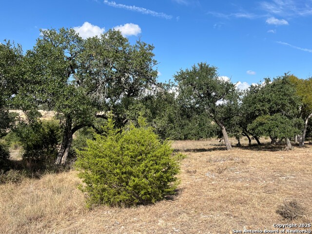 Image 4 of 11 For 1614 (lot 1457) Beaujolais