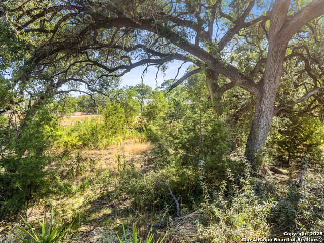 Image 10 of 18 For 1043 Long Hollow