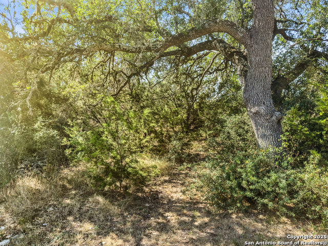 Image 6 of 18 For 1043 Long Hollow