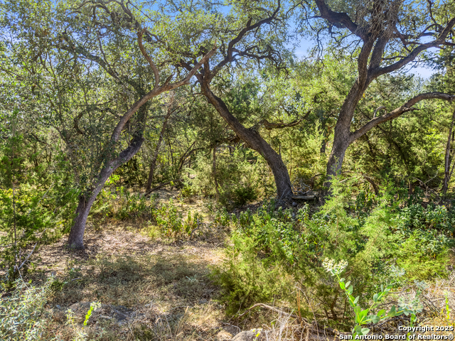 Image 9 of 18 For 1043 Long Hollow