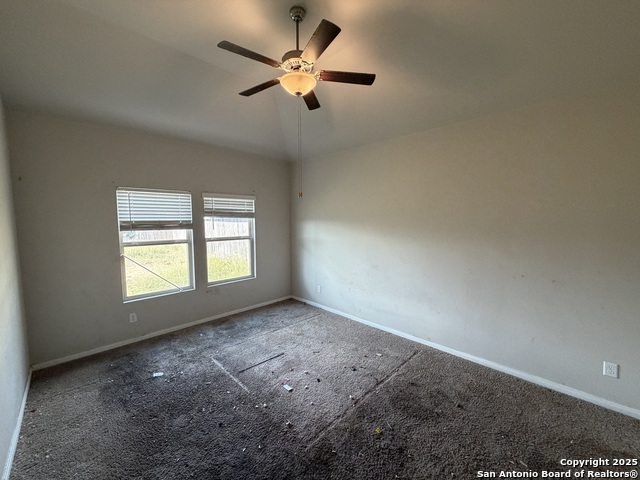 Image 10 of 24 For 715 Wild Olive