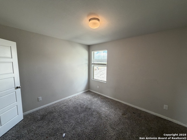 Image 12 of 24 For 715 Wild Olive