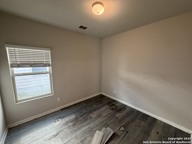 Image 8 of 24 For 715 Wild Olive