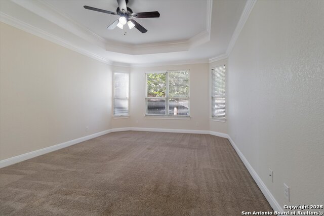 Image 12 of 24 For 5118 Thymus