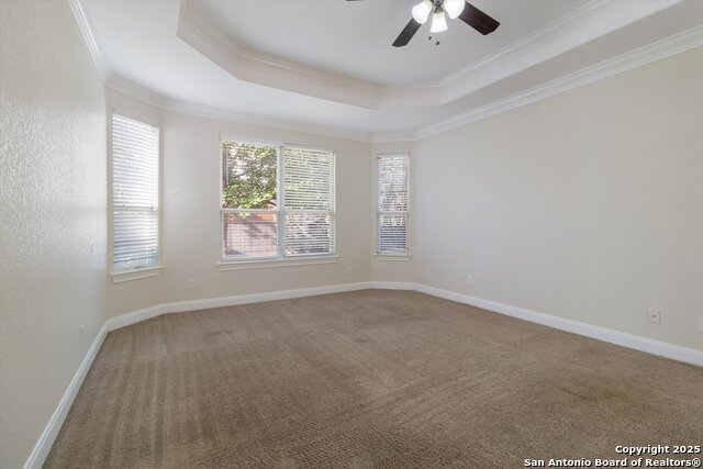 Image 14 of 24 For 5118 Thymus