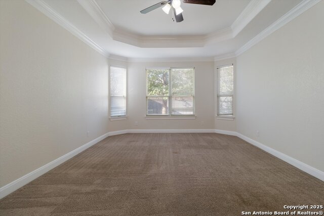 Image 15 of 24 For 5118 Thymus