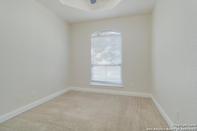 Image 19 of 24 For 5118 Thymus