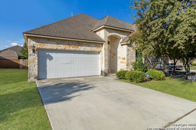 Image 2 of 24 For 5118 Thymus