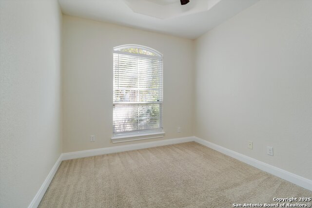 Image 20 of 24 For 5118 Thymus