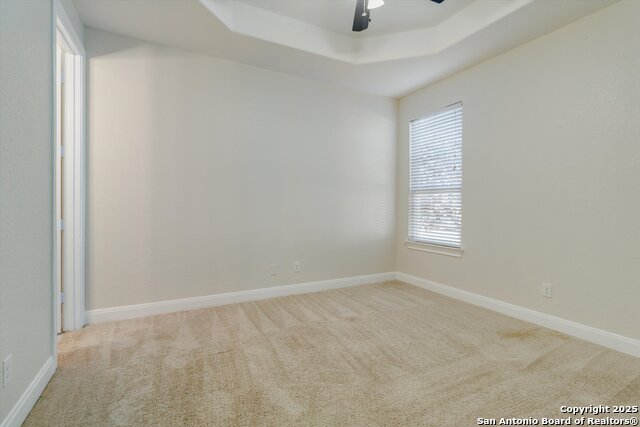 Image 21 of 24 For 5118 Thymus