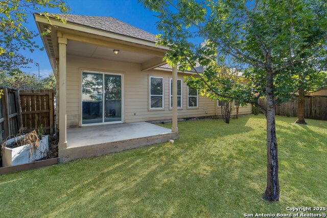 Image 23 of 24 For 5118 Thymus