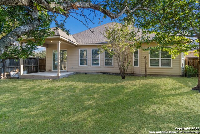 Image 24 of 24 For 5118 Thymus