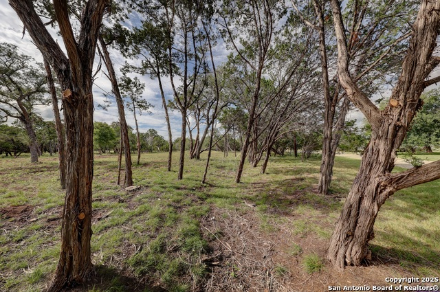 Listing photo id 2 for Lot 4 Heinen