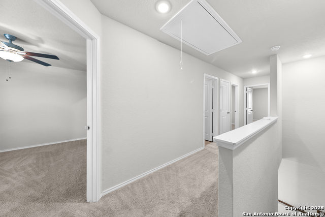 Image 10 of 21 For 9907 Grove Mist 103