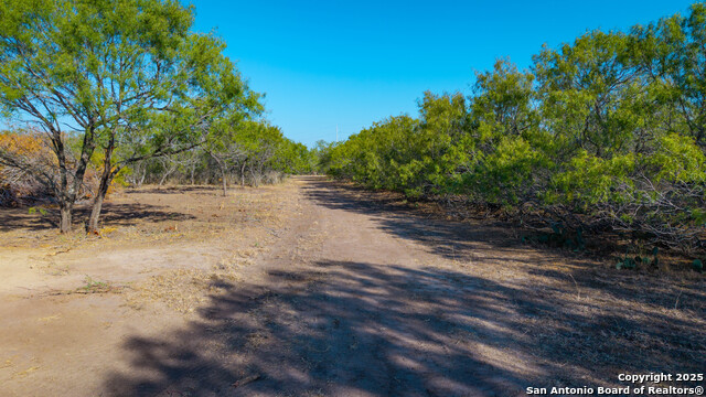 Listing photo id 37 for 6505 Fm 541  