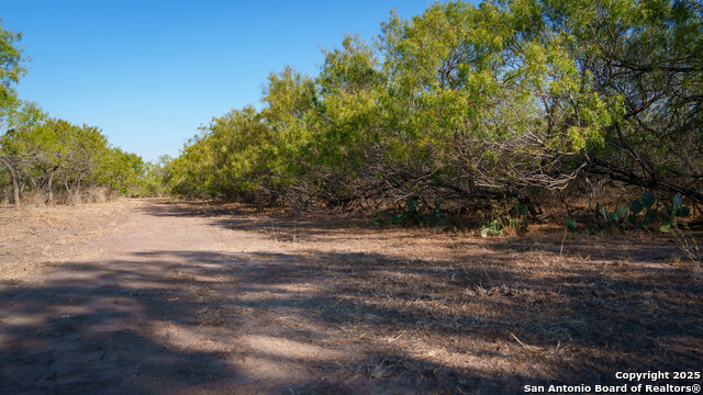 Listing photo id 41 for 6505 Fm 541  