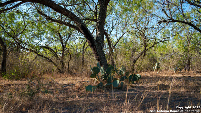 Listing photo id 43 for 6505 Fm 541  