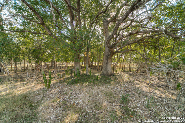 Image 4 of 10 For Lot 45 River Trail