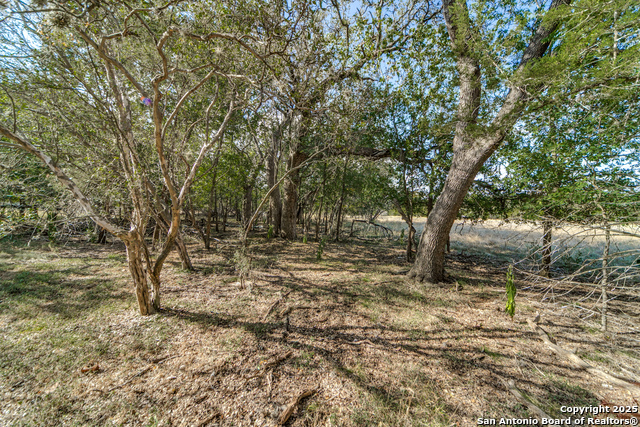 Image 5 of 10 For Lot 45 River Trail