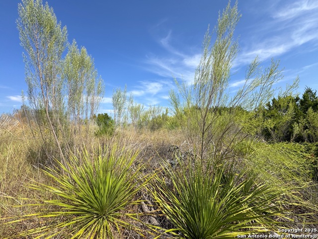 Image 27 of 30 For 849 Scenic Hills