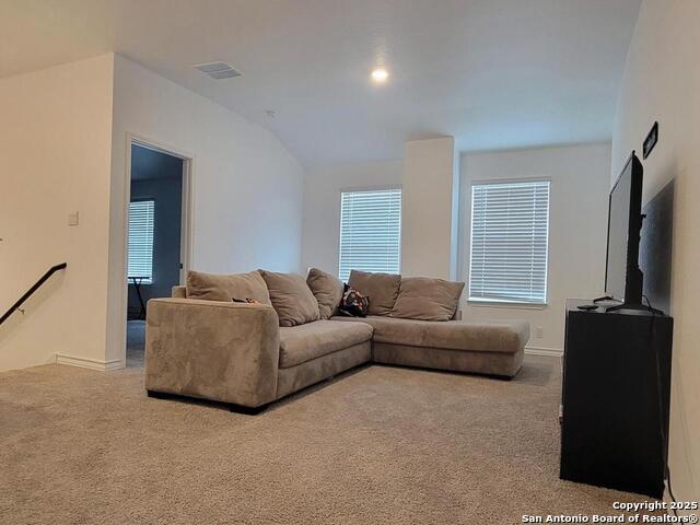 Image 13 of 16 For 8322 Indian Grass