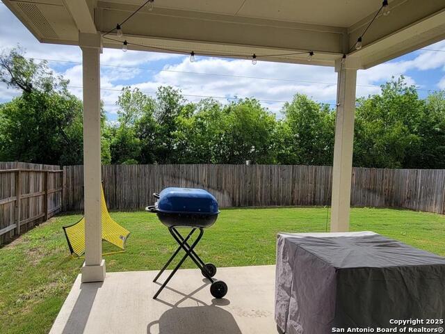 Image 14 of 16 For 8322 Indian Grass