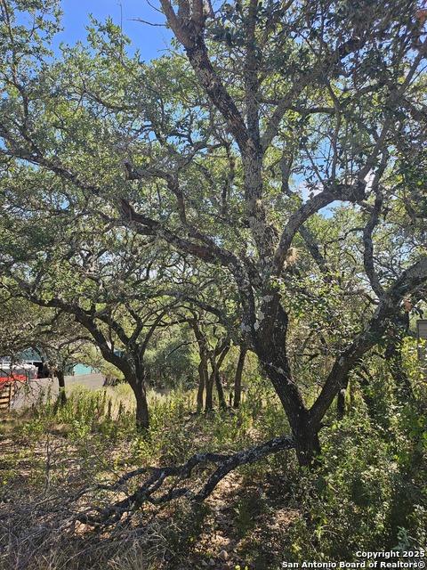 Listing photo id 0 for 1437 Trailridge Dr