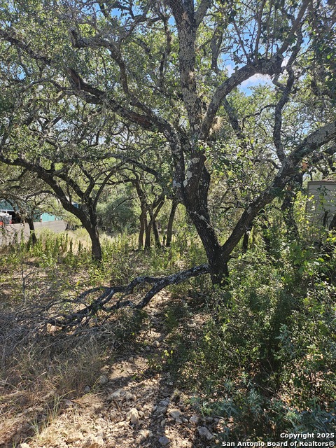 Listing photo id 1 for 1437 Trailridge Dr