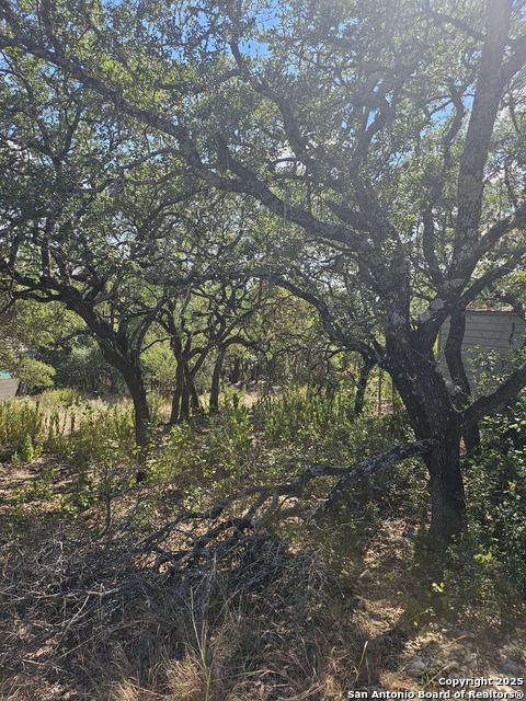 Listing photo id 2 for 1437 Trailridge Dr