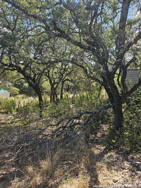 Listing photo id 3 for 1437 Trailridge Dr