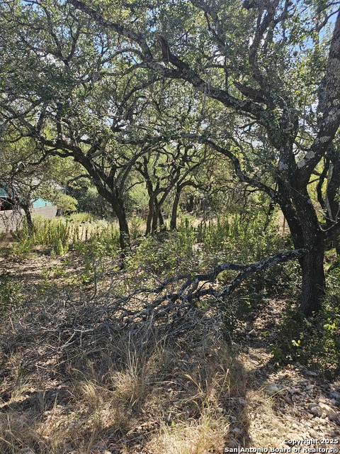 Listing photo id 4 for 1437 Trailridge Dr