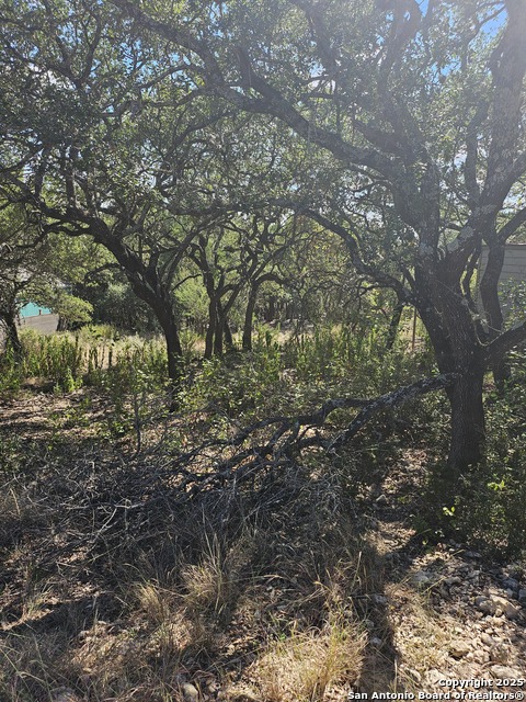 Listing photo id 5 for 1437 Trailridge Dr