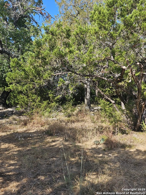 Listing photo id 8 for 1645 Whispering Hills