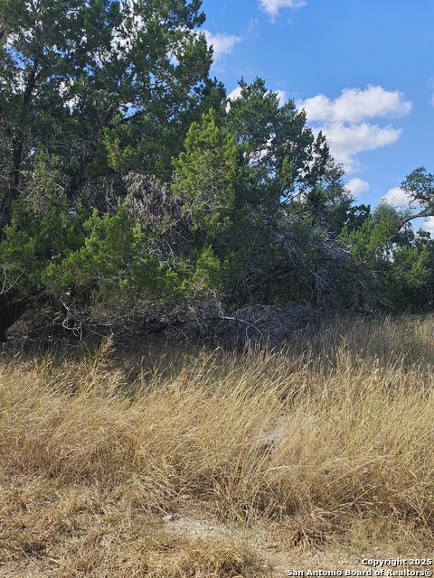 Listing photo id 9 for 1645 Whispering Hills