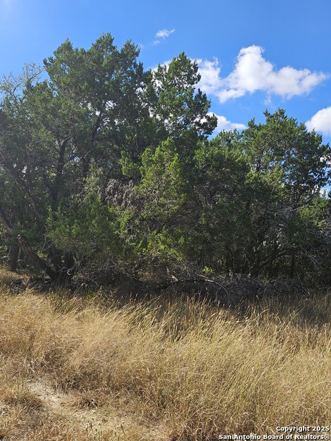 Listing photo id 11 for 1645 Whispering Hills