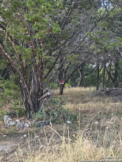 Listing photo id 3 for 1645 Whispering Hills