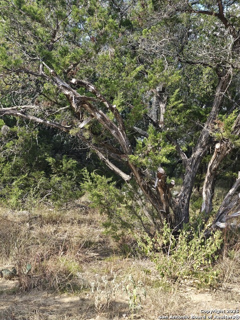 Listing photo id 6 for 1645 Whispering Hills