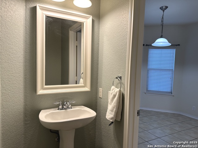 Image 11 of 24 For 6118 Pecan Tree