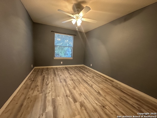 Image 16 of 24 For 6118 Pecan Tree