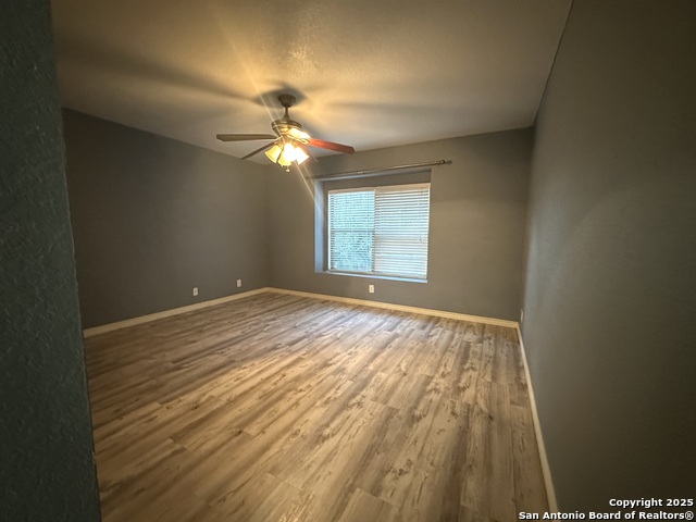 Image 19 of 24 For 6118 Pecan Tree