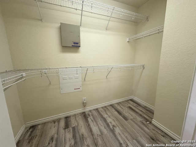 Image 22 of 24 For 6118 Pecan Tree